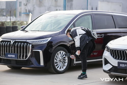 自由随心 追逐梦想 岚图汽车武汉工厂产品日体验活动圆满落幕